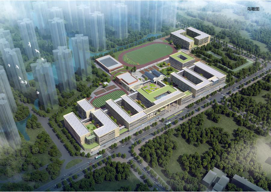 1512619796584745.jpg 09.jpg