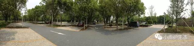 1545115012691280.jpg 1.jpg