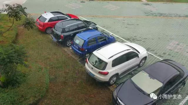 1545115037983210.jpg 2.jpg