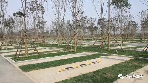 1545115329967188.jpg 16.jpg